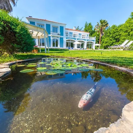Villa Zarik-3